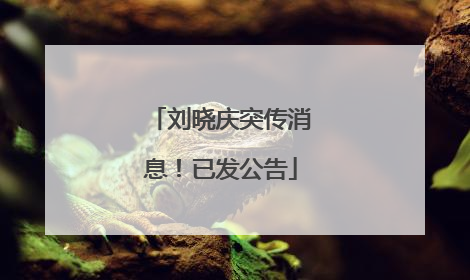 刘晓庆突传消息！已发公告