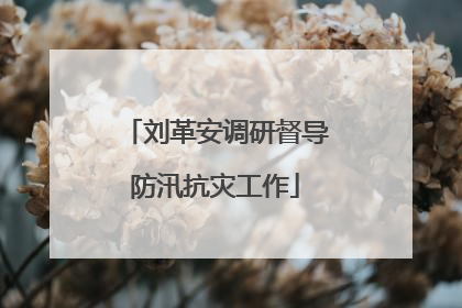 刘革安调研督导防汛抗灾工作