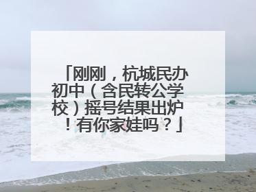 刚刚，杭城民办初中（含民转公学校）摇号结果出炉！有你家娃吗？