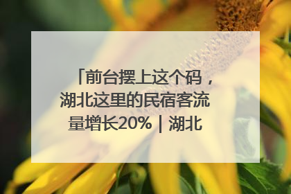 前台摆上这个码，湖北这里的民宿客流量增长20%｜湖北市场监管所的故事