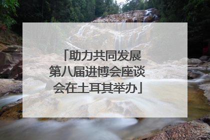 助力共同发展 第八届进博会座谈会在土耳其举办