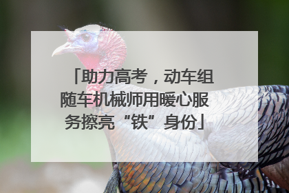助力高考，动车组随车机械师用暖心服务擦亮“铁”身份