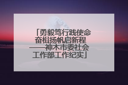 勇毅笃行践使命 奋楫扬帆启新程——神木市委社会工作部工作纪实