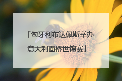 匈牙利布达佩斯举办意大利面桥世锦赛