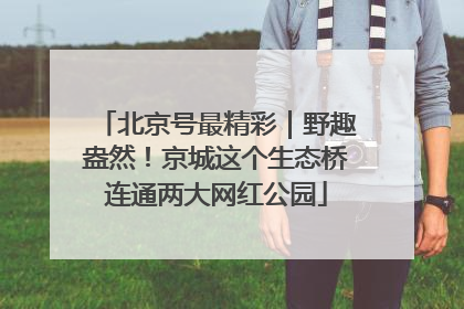 北京号最精彩｜野趣盎然！京城这个生态桥连通两大网红公园