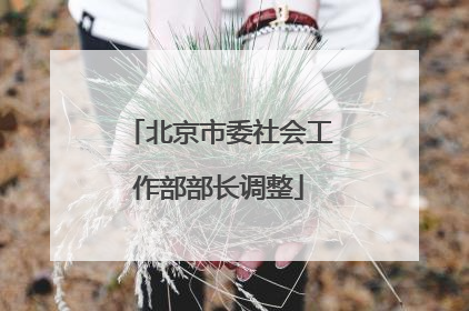 北京市委社会工作部部长调整