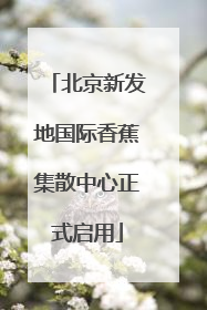北京新发地国际香蕉集散中心正式启用