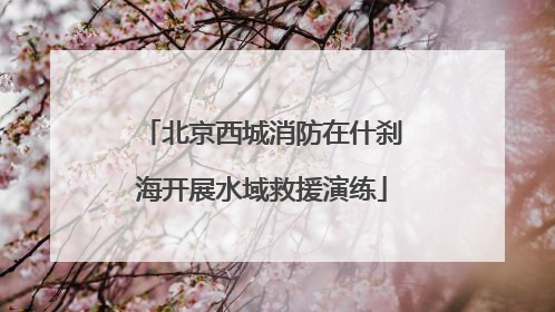 北京西城消防在什刹海开展水域救援演练