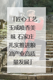 匠心工艺玉成喷香美味 石家庄扎实推进粮油产业高质量发展