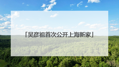 吴彦祖首次公开上海新家