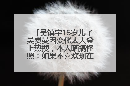 吴镇宇16岁儿子吴费曼因变化太大登上热搜，本人晒搞怪照：如果不喜欢现在的我可以离开