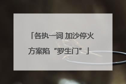 各执一词 加沙停火方案陷“罗生门”