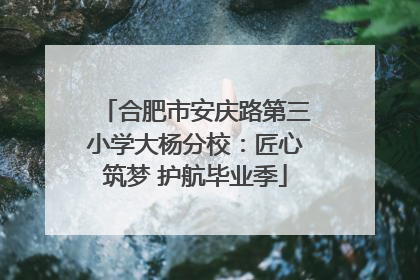 合肥市安庆路第三小学大杨分校：匠心筑梦 护航毕业季