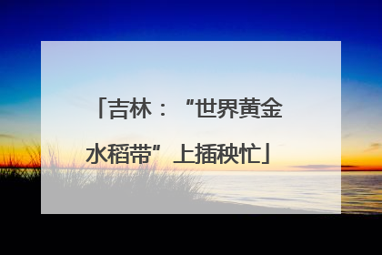 吉林：“世界黄金水稻带”上插秧忙