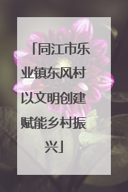 同江市乐业镇东风村以文明创建赋能乡村振兴