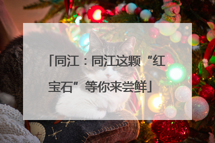 同江：同江这颗“红宝石”等你来尝鲜