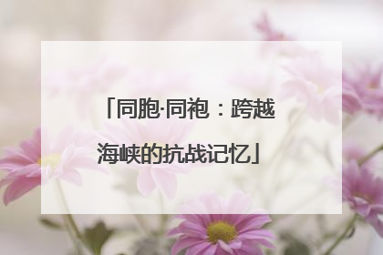 同胞·同袍：跨越海峡的抗战记忆