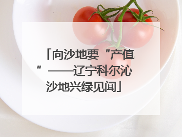 向沙地要“产值”——辽宁科尔沁沙地兴绿见闻