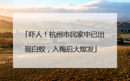 吓人！杭州市民家中已出现白蚁，入梅后大爆发