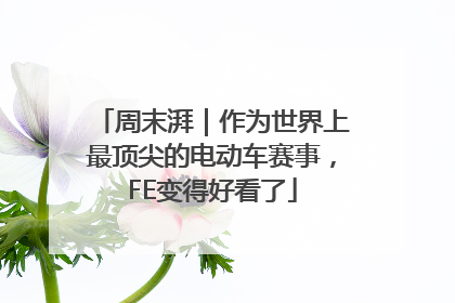 周末湃｜作为世界上最顶尖的电动车赛事，FE变得好看了
