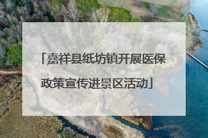 嘉祥县纸坊镇开展医保政策宣传进景区活动