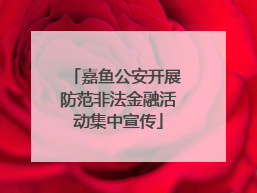 嘉鱼公安开展防范非法金融活动集中宣传