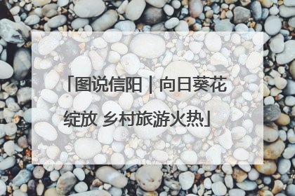 图说信阳｜向日葵花绽放 乡村旅游火热