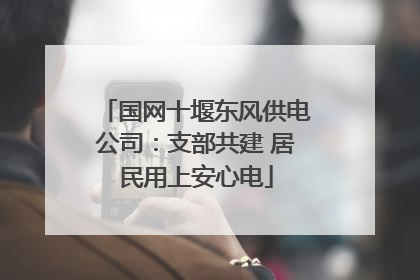 国网十堰东风供电公司：支部共建 居民用上安心电