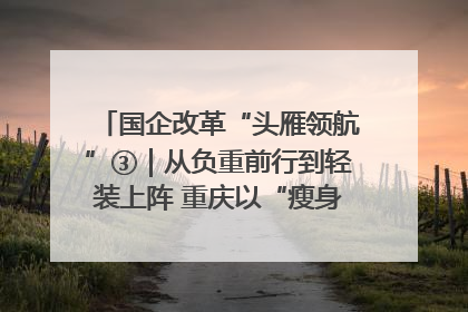 国企改革“头雁领航”③｜从负重前行到轻装上阵 重庆以“瘦身”谋“健体”