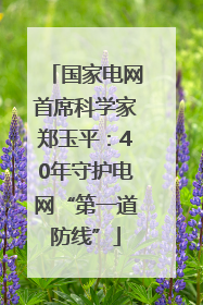 国家电网首席科学家郑玉平：40年守护电网“第一道防线”
