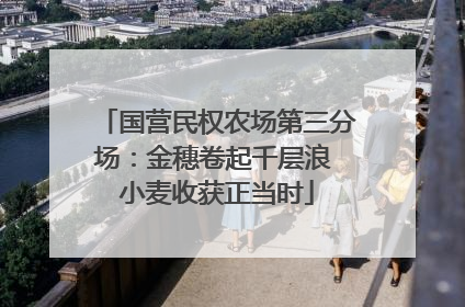 国营民权农场第三分场：金穗卷起千层浪 小麦收获正当时