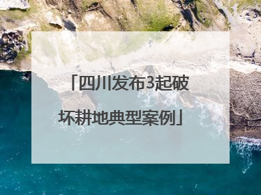 四川发布3起破坏耕地典型案例