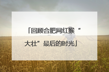 回顾合肥网红猴“大壮”最后的时光