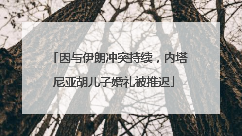 因与伊朗冲突持续，内塔尼亚胡儿子婚礼被推迟