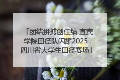 团结拼搏创佳绩 宜宾学院田径队闪耀2025四川省大学生田径赛场
