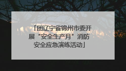 团辽宁省锦州市委开展“安全生产月”消防安全应急演练活动