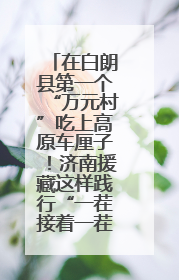在白朗县第一个“万元村”吃上高原车厘子！济南援藏这样践行“一茬接着一茬干”