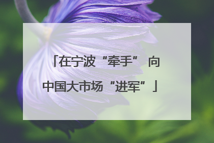 在宁波“牵手” 向中国大市场“进军”