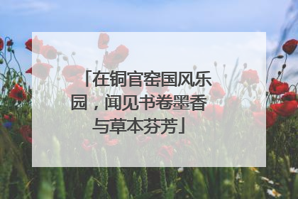 在铜官窑国风乐园，闻见书卷墨香与草本芬芳