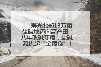 寿光北部13万亩盐碱地迈向高产田：八年改碱夺粮，盐碱滩拱起“金粮仓”