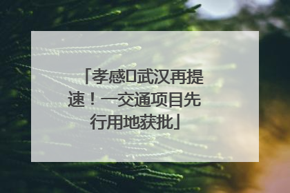 孝感⇋武汉再提速！一交通项目先行用地获批