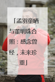 孟羽童晒与董明珠合照：感念曾经，未来珍重