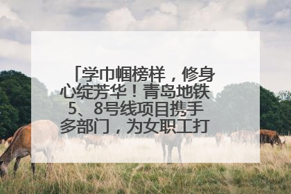 学巾帼榜样，修身心绽芳华！青岛地铁5、8号线项目携手多部门，为女职工打造别样文化盛宴