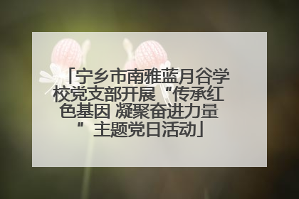 宁乡市南雅蓝月谷学校党支部开展“传承红色基因 凝聚奋进力量”主题党日活动