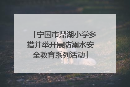 宁国市鼎湖小学多措并举开展防溺水安全教育系列活动