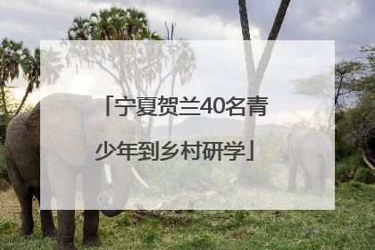 宁夏贺兰40名青少年到乡村研学