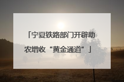 宁夏铁路部门开辟助农增收“黄金通道”