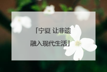 宁夏 让非遗融入现代生活