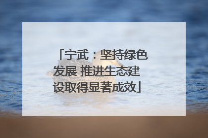 宁武：坚持绿色发展 推进生态建设取得显著成效