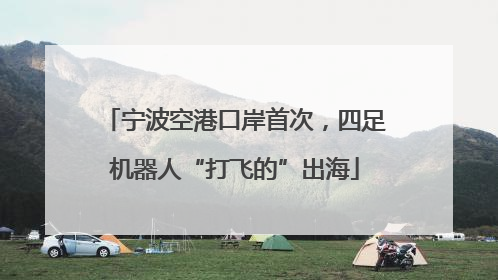 宁波空港口岸首次，四足机器人“打飞的”出海